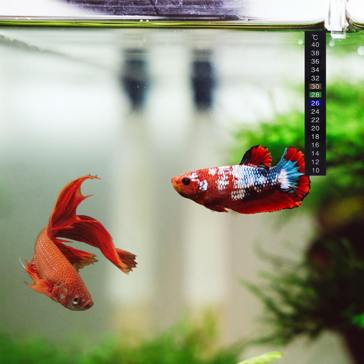 10piezas Termómetro Digital Autoadhesivo Para Acuario Y Cocina Tira De Medición De Temperatura De Indicador De Color Fácil De Leer Para Peceras Vino Y Cerveza
