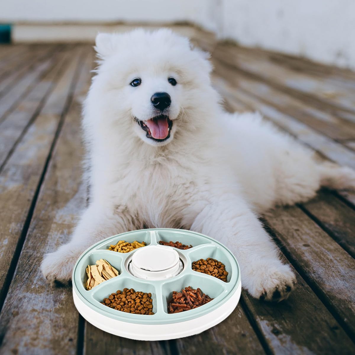 PRETYZOOM Comedero Automático para Perros Temporizador, Tazón para Mascotas de PS y Abs, Fácil de Limpiar Base Antideslizante, Adecuado para Colocar Esquina