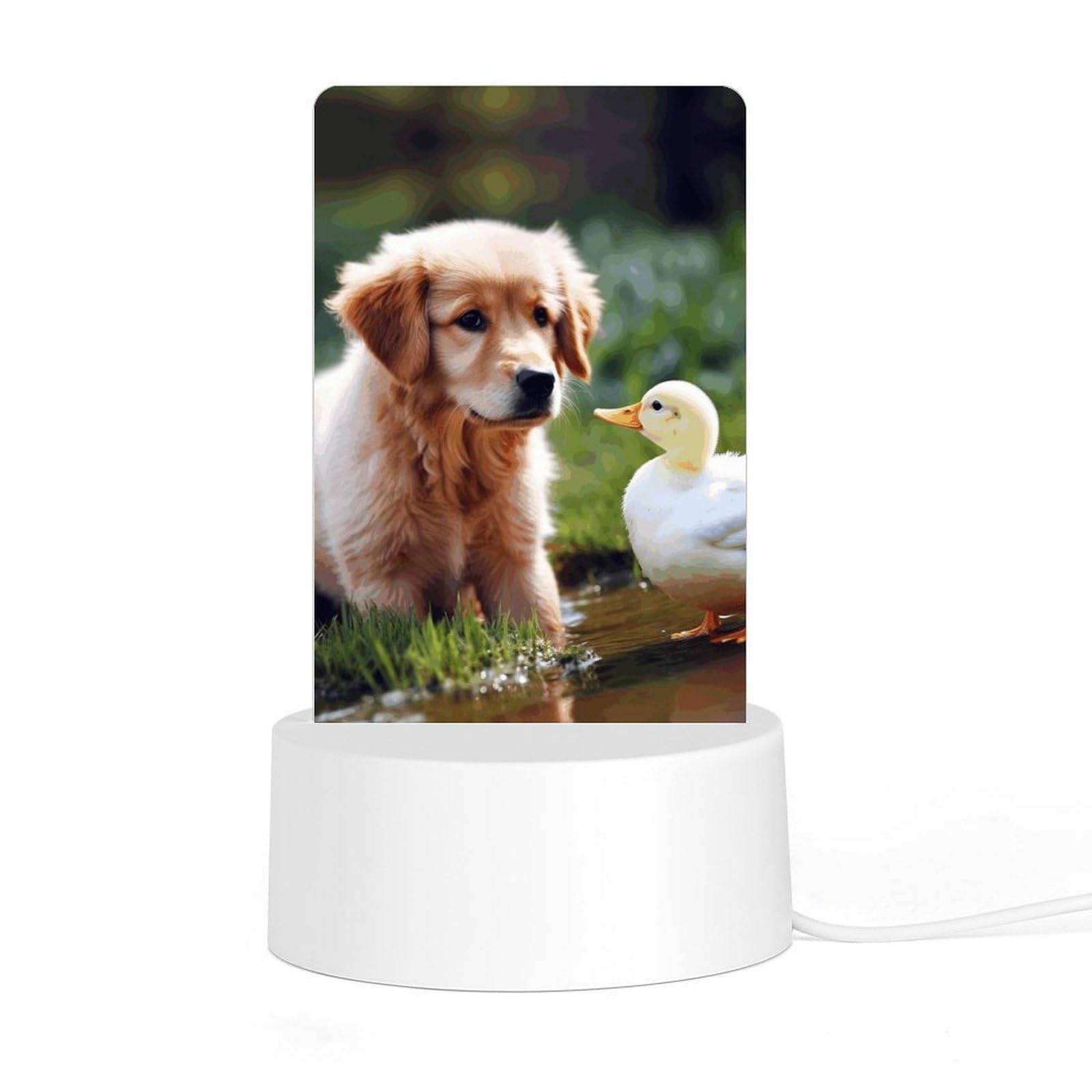 JTREHY - Acrylic Night Light with Base, Dog and Duck Printed LED Desk Night Light for Bedroom Bathroom Hallway Holiday Gift