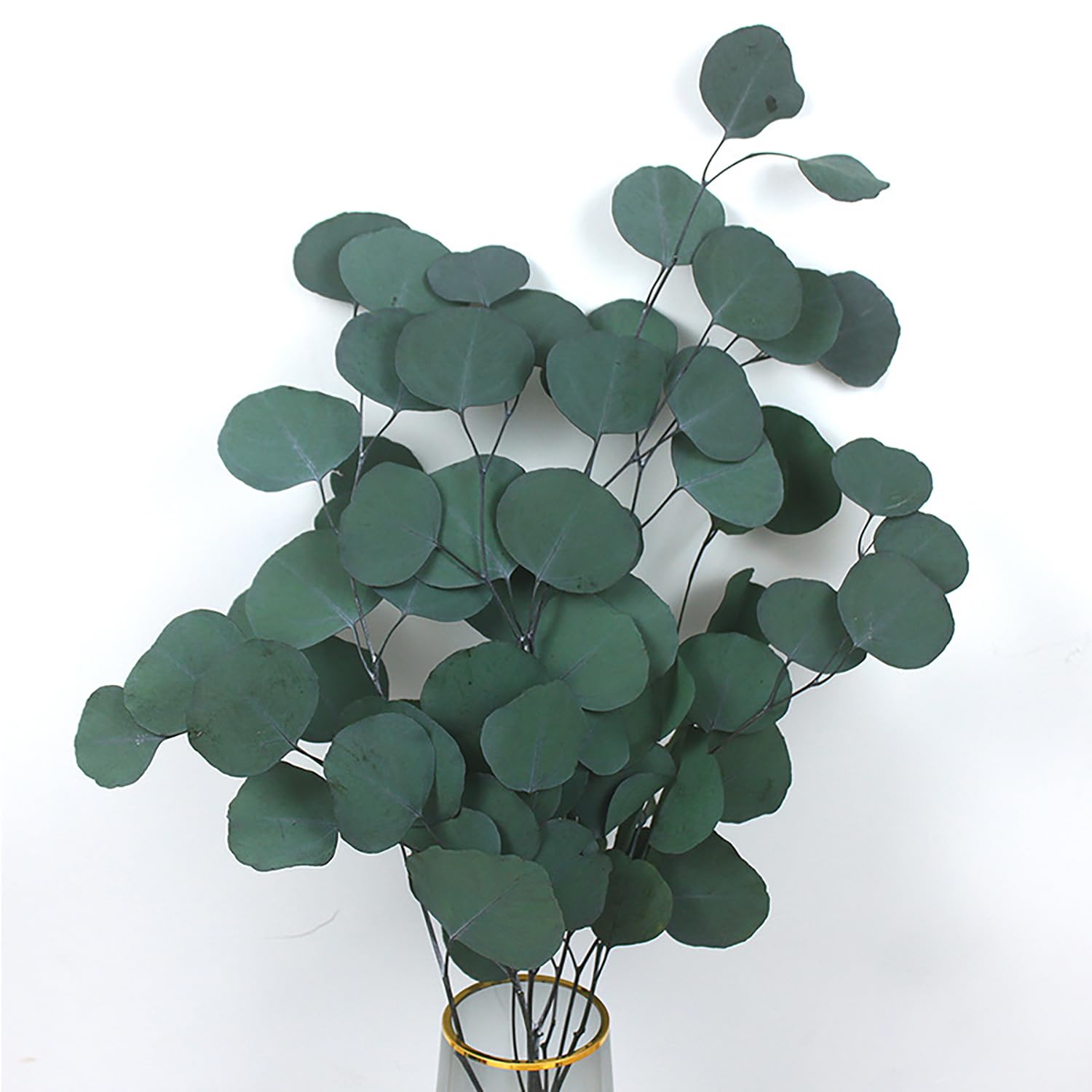 Kokits Green Dried Eucalyptus, Birch Valley Eucalyptus Dried Flowers Red And 40-43 Cm Long Dried Flowers Decoration - Dried Eucalyptus - Dried Flowers, Vase Dried Flower Bouquet, Boho Decoration (Green)