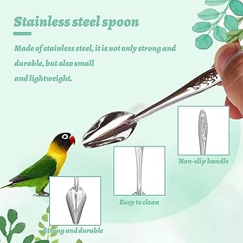 Amazon.co.jp: VTEERY(みさ) 鳥 給餌 スプーン 5個セット