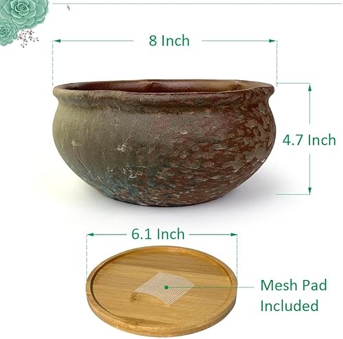 Miniatura 45 de Maceta redonda de terracota esmaltada de 8 pulgadas para suculentas, maceta redonda de cerámica con drenaje y platillo, maceta de arcilla de cactus