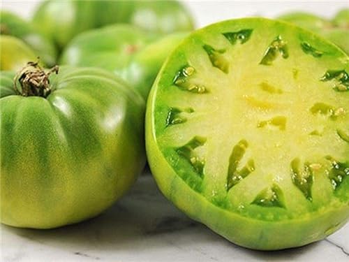 Miniatura 2 de Green Giant Tomate Seeds - Buenos rendimientos de 12 a 18 oz de tomates verdes (10 - Semillas)