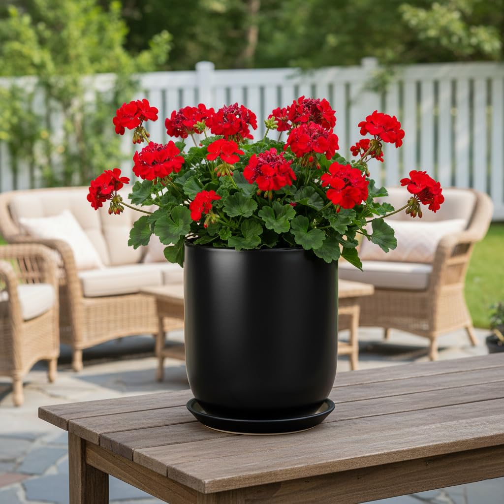 Amazon.com : SUNPOTFOR Ceramic Planter 8 Inch - Plant Pot for