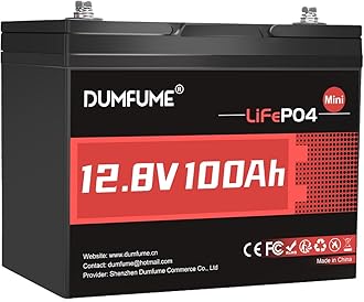 12V 100Ah Mini LiFePO4 Lithium Battery, 100A BMS,1280Wh, 6000+ Cycles BCI Group 24 Lithium Iron Phosphate Battery Perfect for RV, Solar, Off-Grid and Home Energy Storage