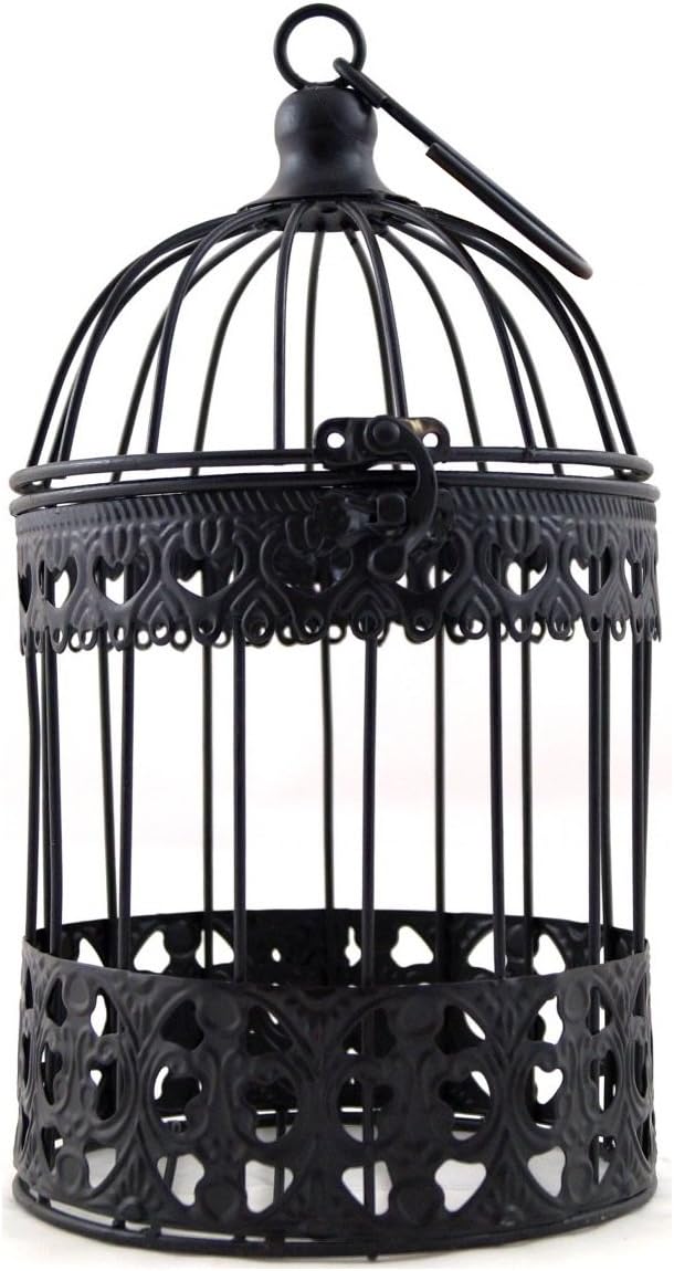 Decorative Bird Cage Metal Cage Cage Shabby P 127 Medium Black New