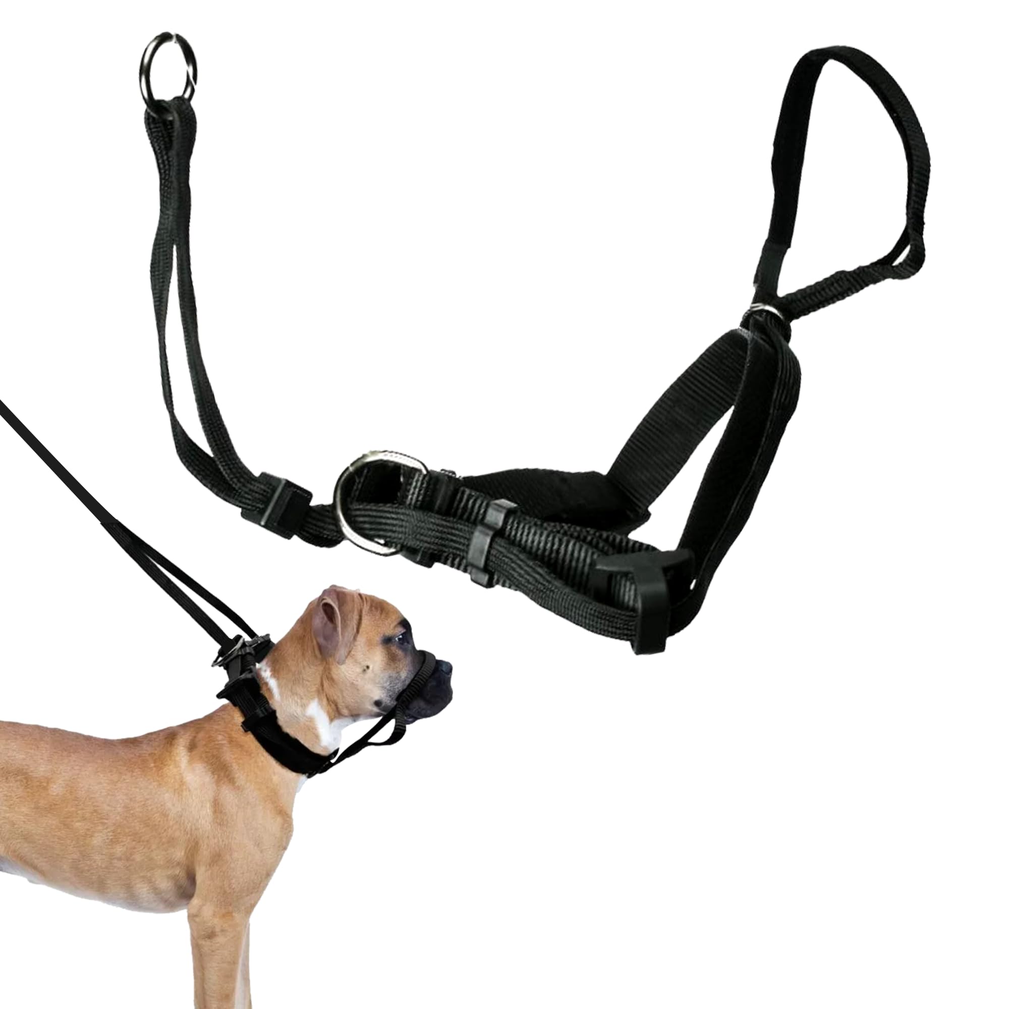 トップス SIIILON Dear DOG trainer Amazon.com : Sporn Head Halter for Dogs - Large Dog Halter