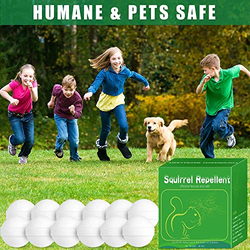 Motrapso 24 Pack Squirrel Repellent thumb #4