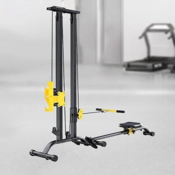 SHUA ラットプルダウン・ローイングマシン 楽天市場】ラットプルダウン 一台二役 ローイングマシン ppi-tmz033