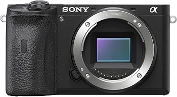 Sony α6600 訳あり Amazon.co.jp: Sony ILCE-6600 α6600 Mirrorless SLR Body Black