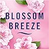 Febreze Car Clip Air Freshener BLOSSOM BREEZE – Pack of 3 (2 ml Vent Clips) | OdourClear Technology for Up to 30 Days of Freshness #1