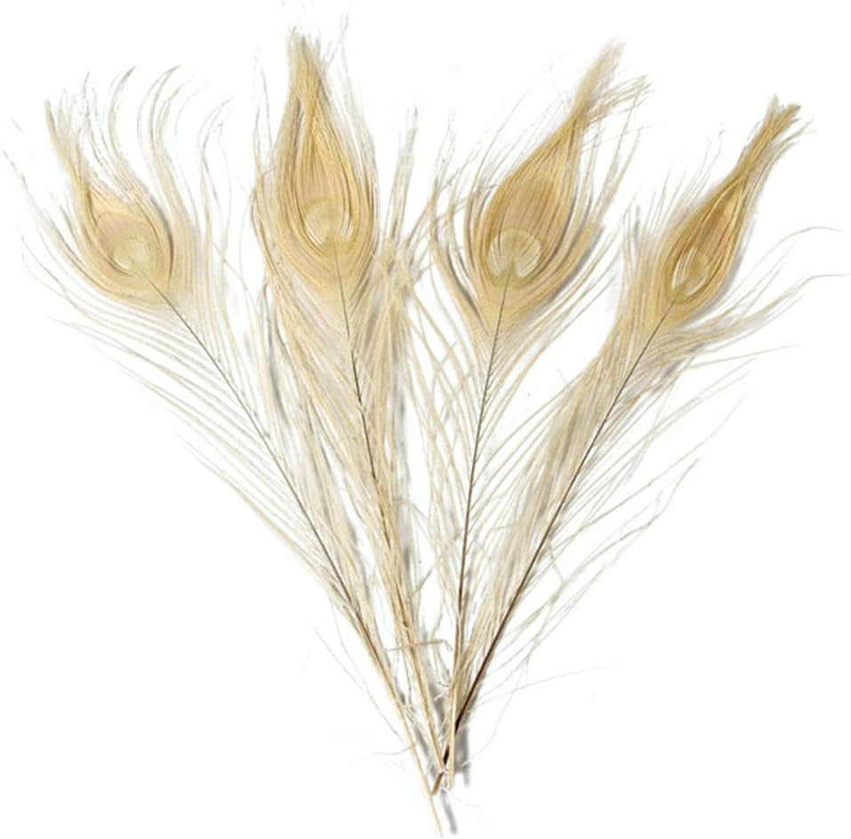 Feathers,Plume,Hgshow 20 Pcs Bleached & Dyeing Peacock Feather 10-12 inches
