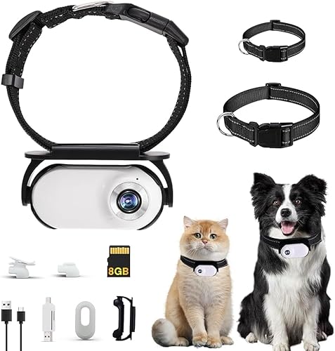 GHWMYD 8G Weiße Katzen Kamera Halsband