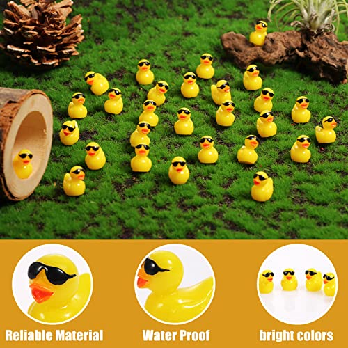 KINBOM 100PCS Mini Resin Duck - Image 4