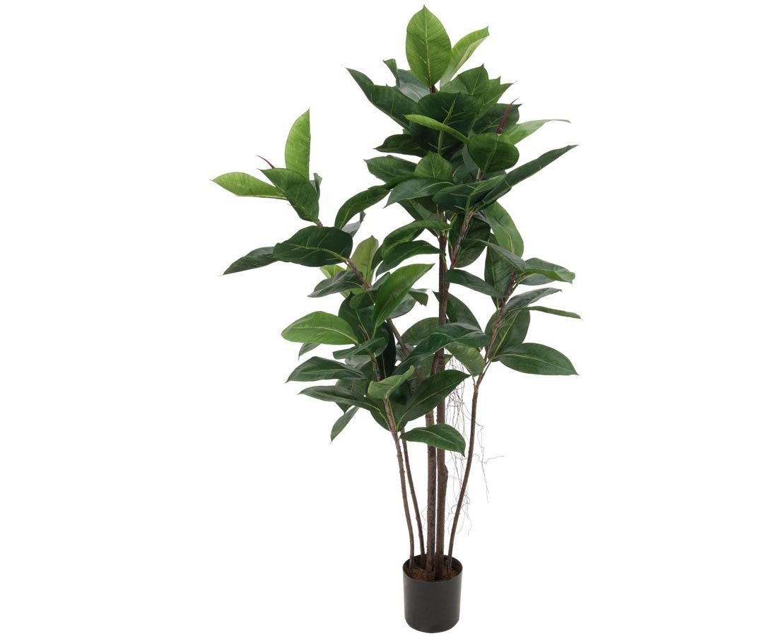 Amazon.de: Knstlicher Gummibaum Hhe ca. 120cm mit 84 Bltter - Kautschuk  Kunstbaum Zimmerpflanze im Topf