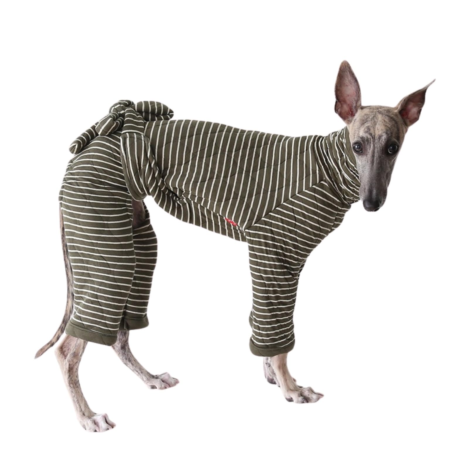 Italian Greyhound Jumper，Warm Turtleneck Whippet Four-Legs Cotton Pajamas Soft Dog Onesie Loungewear Dogs Jumpsuit,Green_S