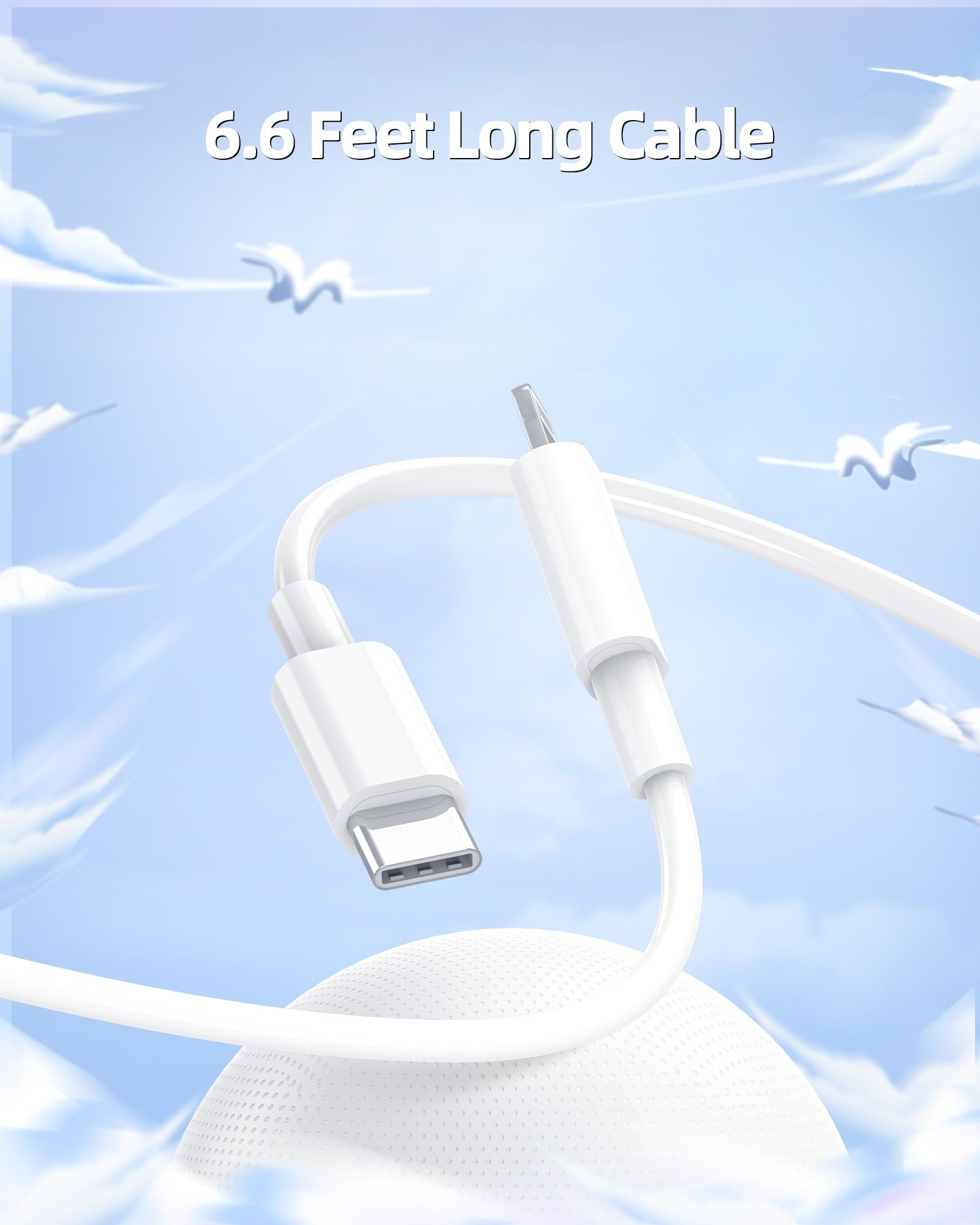 20W [Apple MFi Certified] Fast Charger Fit for iPad Mini 5 5th Generation 2019 7.9