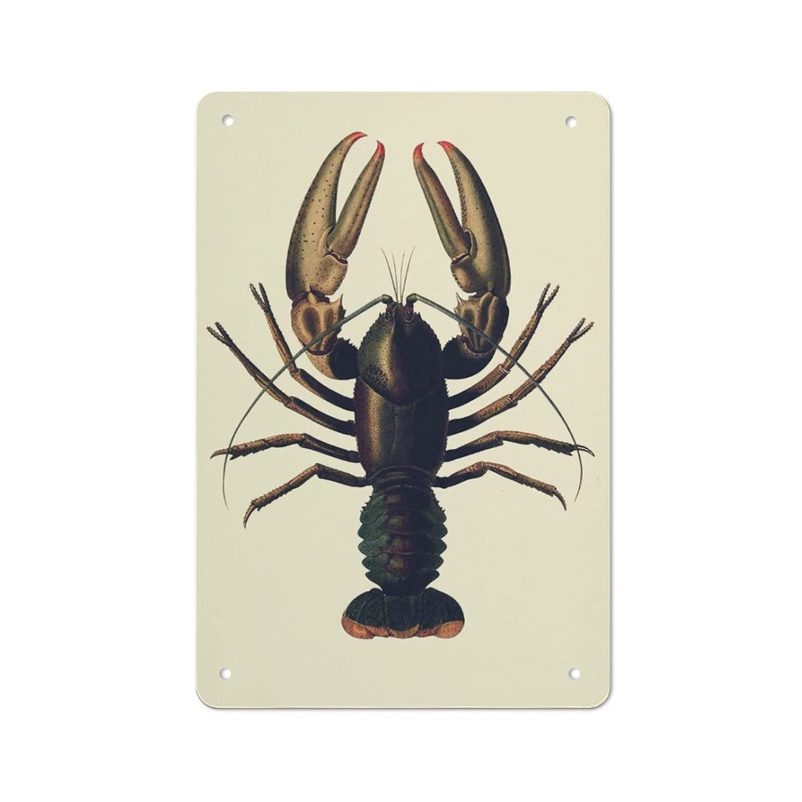DJNGN Retro Metal Sign Lobster Print Tin Sign Iron Painting Kitchen Bathroom Garage Bar Cafe Man Cave Wall Home Decor Tin Poster Indoor Outdoor Plaque Sign 8x12in