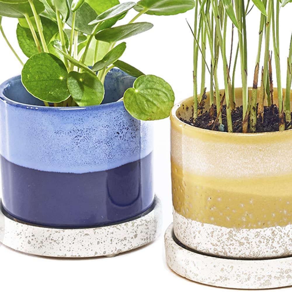 Cute Decorative Ceramic Plant Pot 