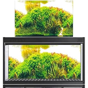 Casiler Aquarium Hintergrundaufkleber 3D Unterwasserwelt Poster