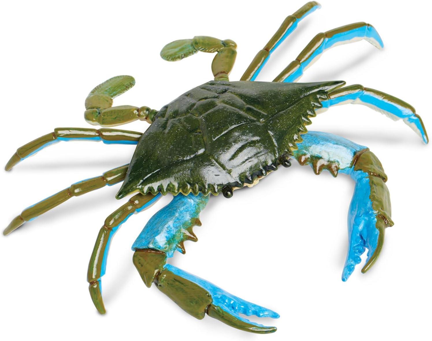 Safari Ltd. Blue Crab Figurine - Realistic 7" Model Figure - Educational Toy for Boys, Girls, and Kids Ages 18M+