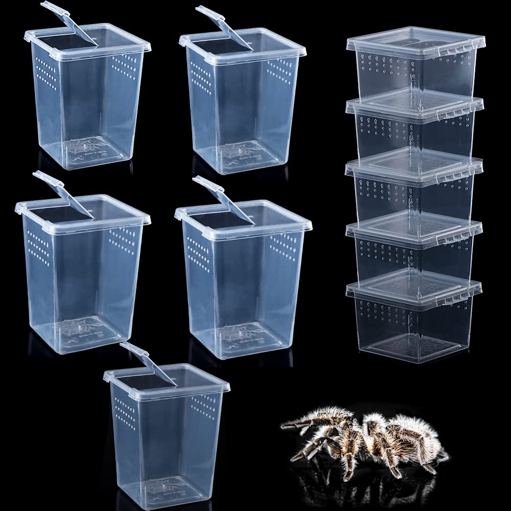 DQITJ 10 Pack Spider Terrariums Breeding Box Small Reptile Hatching Container Acrylic Feeding Box for Arboreal Spider Tarantula Mantis Scorpion Centipede Insect (5 High+5 Small)
