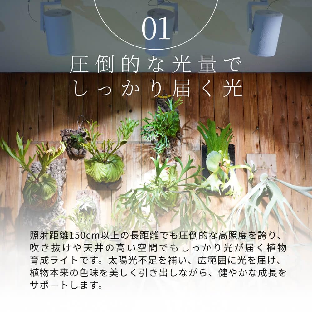 Amazon.co.jp: BARREL 【HADES LED 45W-3500K】ホワイト ライティング