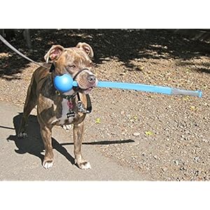 Chuckit sport 26 ball launcher dog toy large ball 66cm  urban country home decor