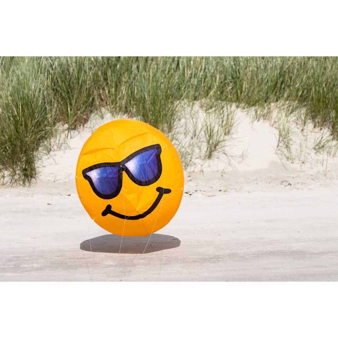 HQ Bouncing Moodeez Cool Smiley Windfigur Bodenwindspiel Windspiel