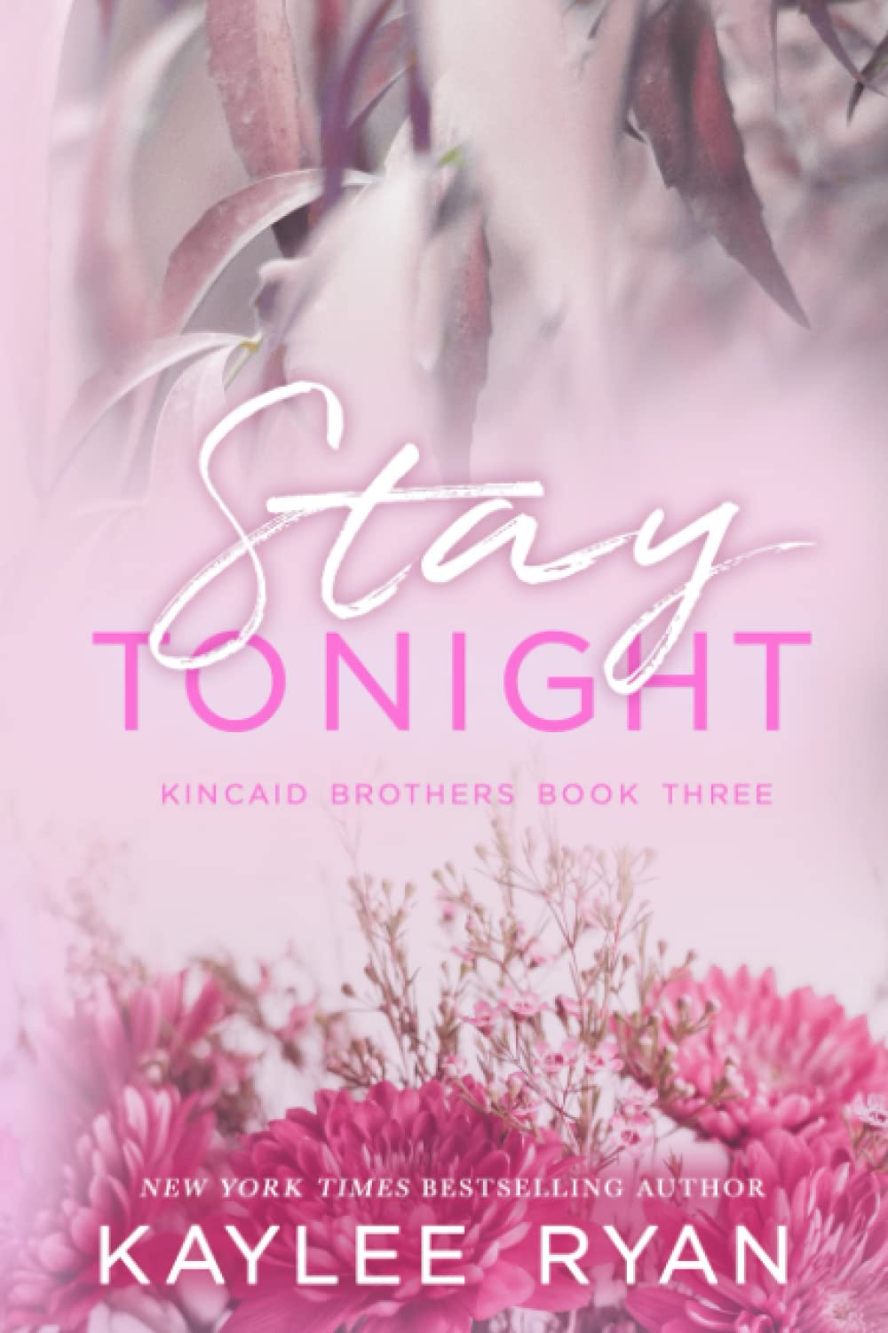 Stay Tonight - Special Edition