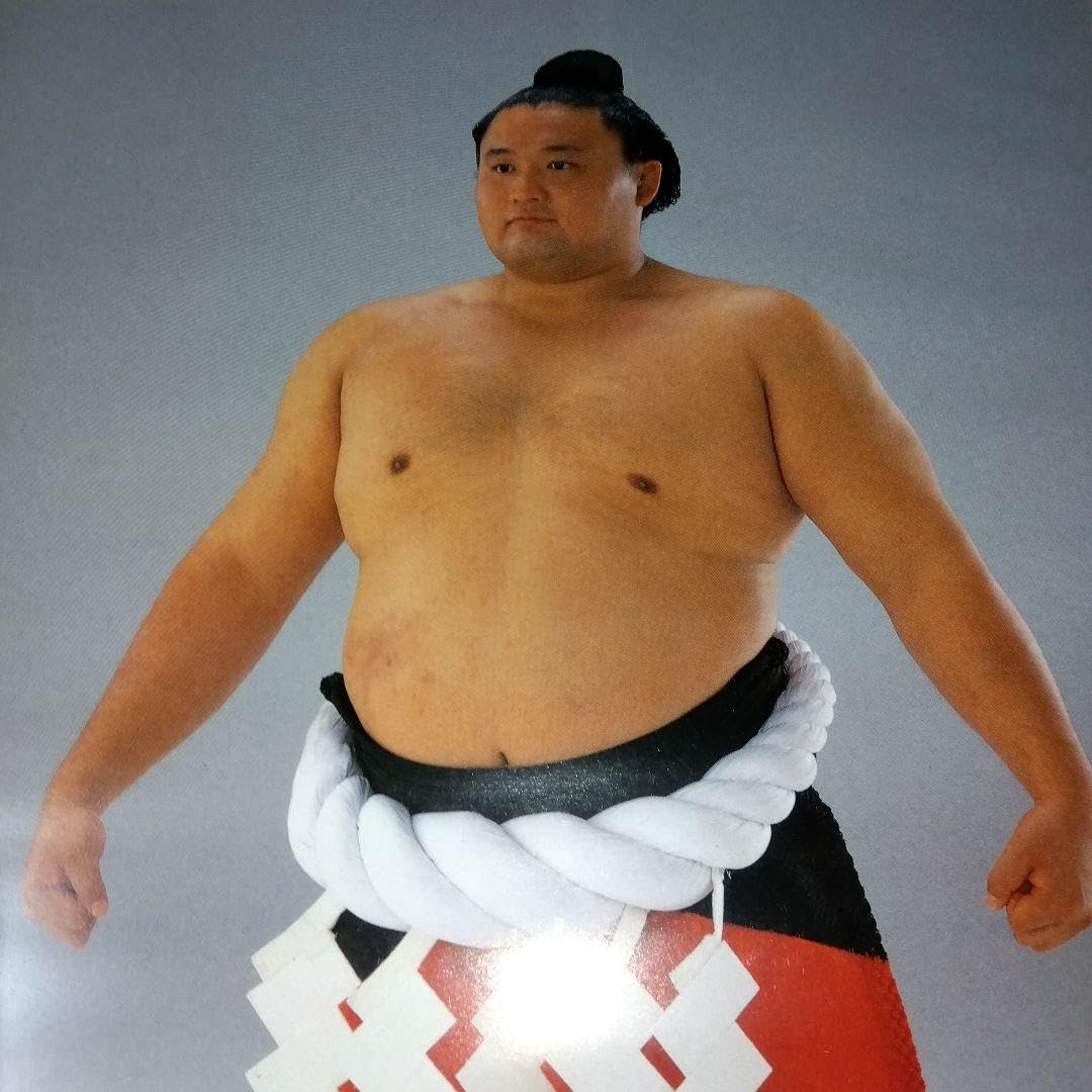 Amazon.co.jp: 貴乃花 優勝額 : おもちゃ