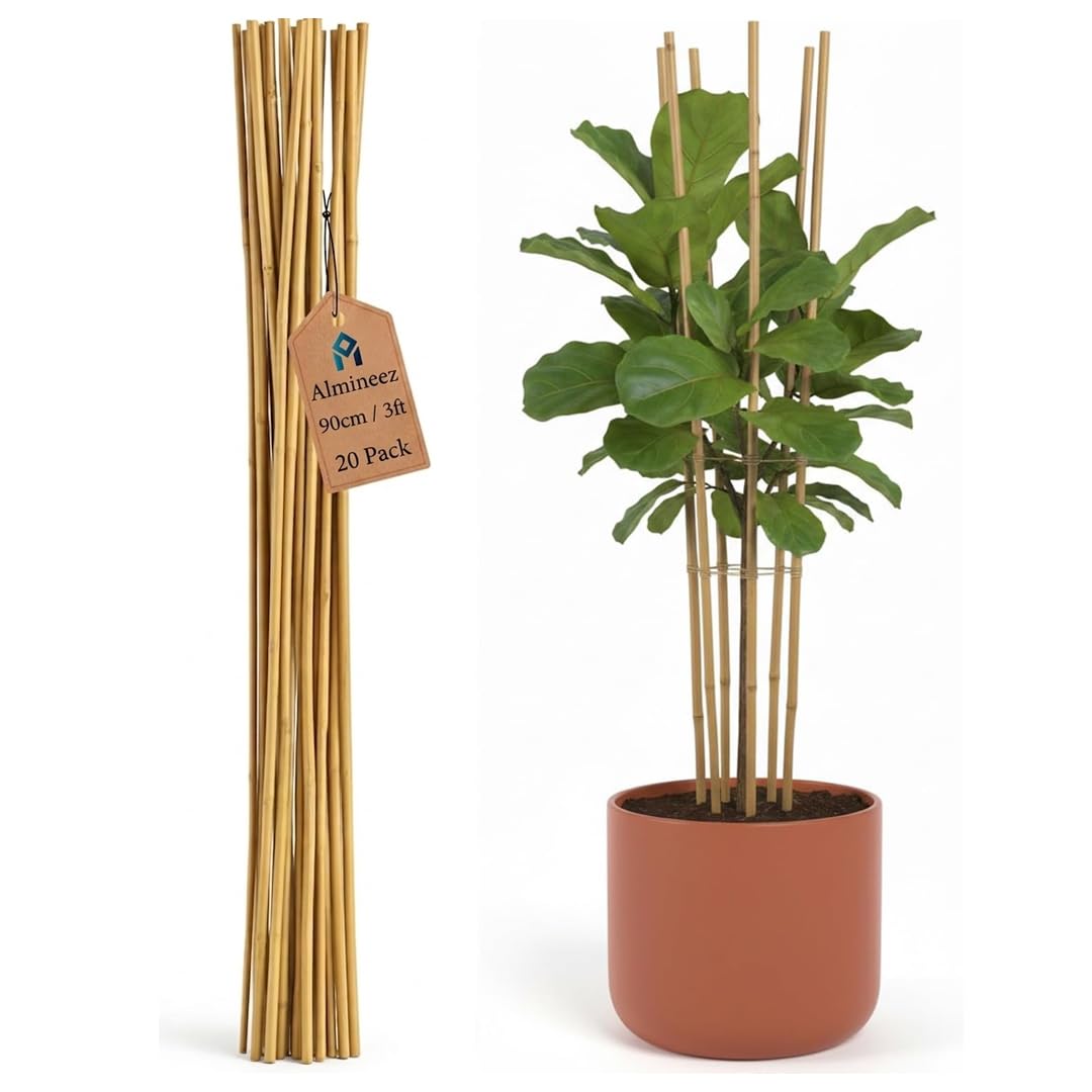 Almineez Natural Bamboo Plant Support Sticks 90cm / 3FT Plant Stakes Split Canes, Floral Garden Flower Sticks for Orchid Pea Vegetables Support Floral Plant Stakes Eco-Friendly (20)