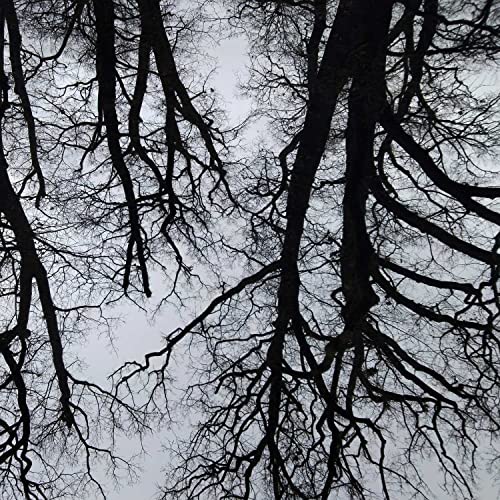 CO-Water Voice. Turning Water Conflicts into Co-productions cover art