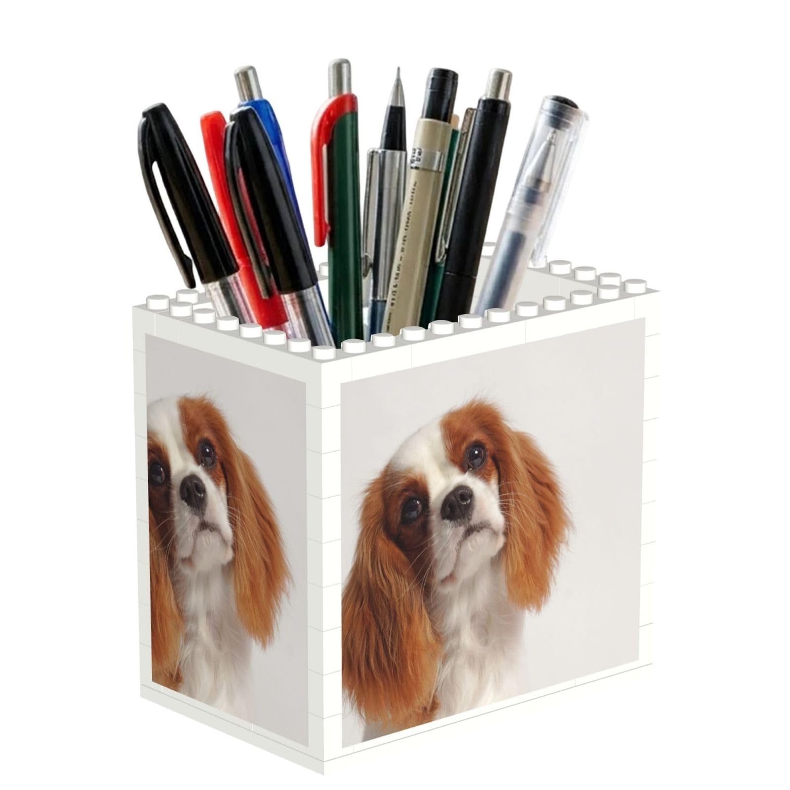 Poadnly Cavalier King Charles Spaniel, Pen Pot Pencil Holder for Office Home School, Compact Desk Organiser for Office Stationery