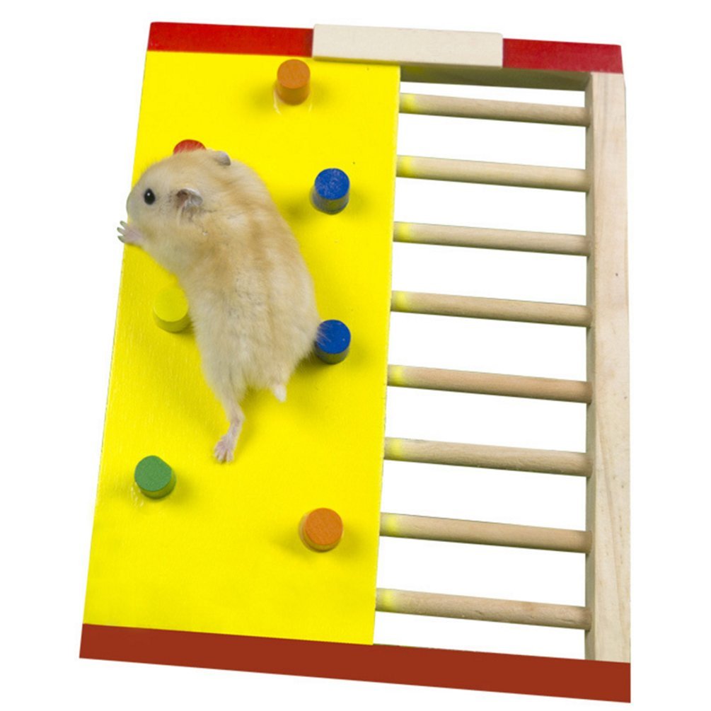 Amazon.co.jp: ハムスター専用 おもちゃ 玩具 木製 Amberetech ロック