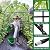 Garden Arch Trellis 7FT Extra Tall Polyethylene-Coated Stainless Steel Garden Trellis for Climbing Plants Outdoor Garden Trellis Arch for Cucumber Trellis, Gardening Trellis with Clips Trellis Netting