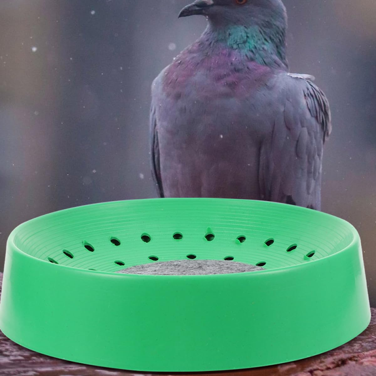 Homoyoyo 10 Nidi per Piccioni in Plastica Resistente per Riproduzione e Deposizione Uova Accessori per Gabbie di Uccelli Adatti ad Allevamenti Zoo e Abitazioni Private
