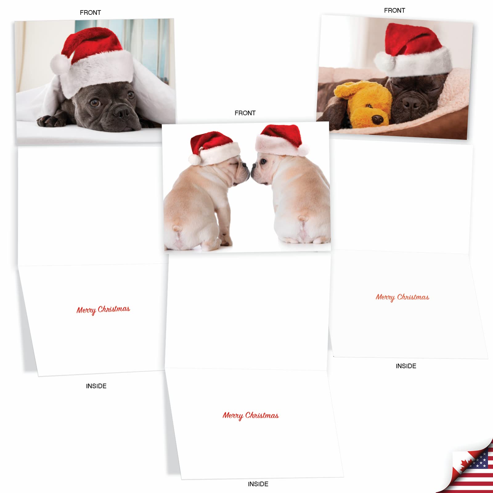 The Best Card Company 20 Assorted Christmas Note Cards Boxed Set 4 X 5.12 Inch With Envelopes (10 Designs, 2 Each) Decorated Dogs AM10765XSG-B2x10
