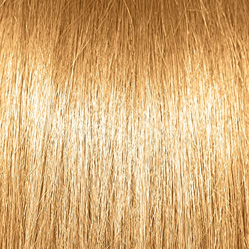 Ion Permanent Creme Hair Color 8Nn Light Intense Blonde, Vegan, Cruelty Free, Ppd Free, 100% Gray Coverage, Long-Lasting, Fade-Resistant Color, 2.05 Oz #TOP3