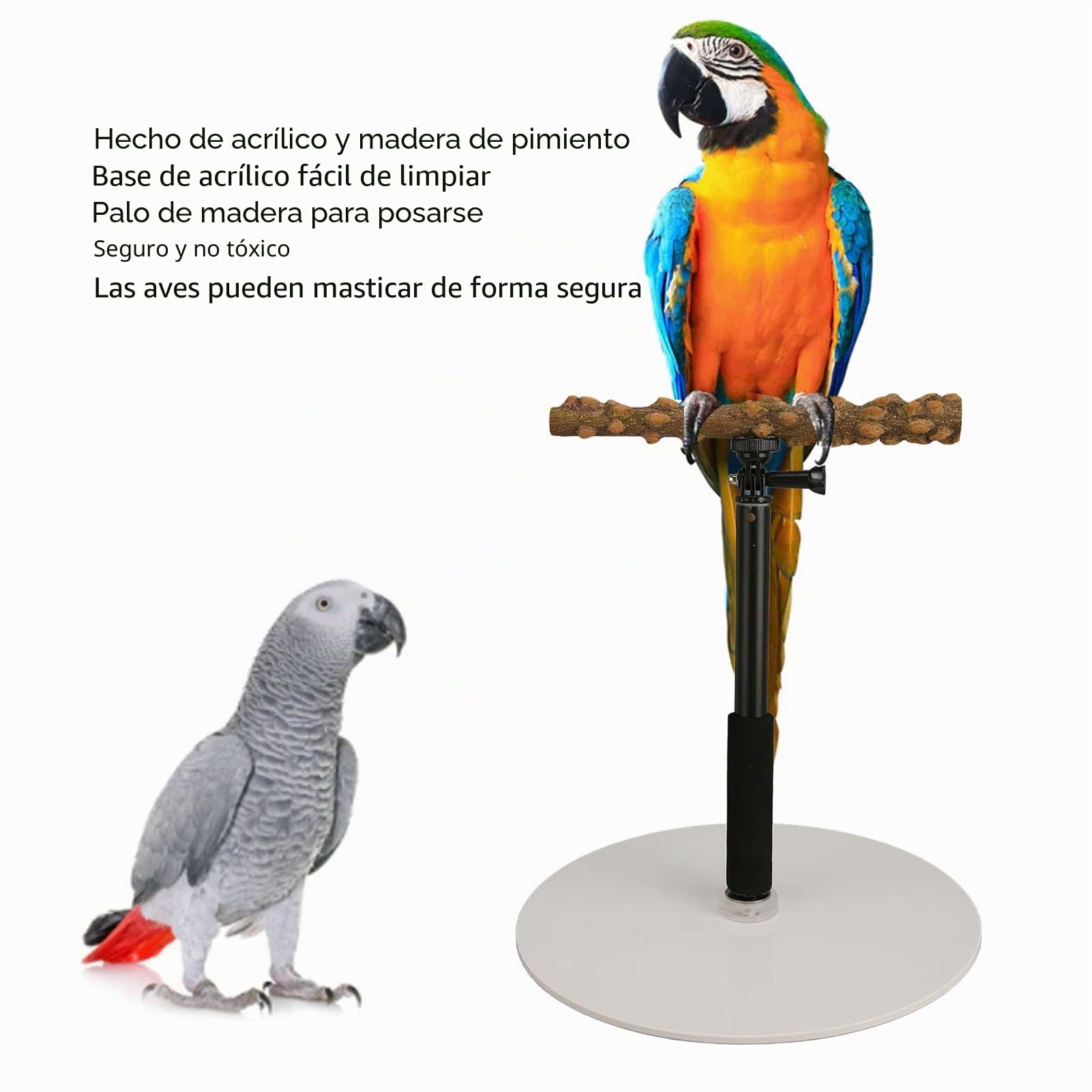 Soporte de Percha de Entrenamiento para Loros, Percha de Pie para Pájaros Desmontable Al Aire Libre con Altura Ajustable de 37 Pulgadas, Base, Soporte de Viaje para Juegos de Pájaros para Conure