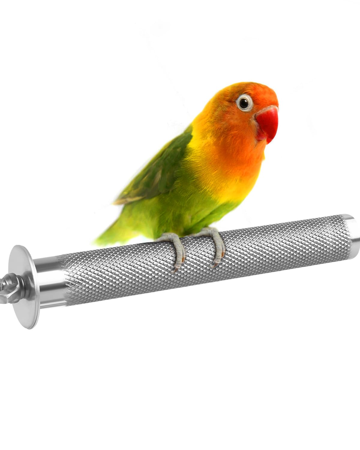 KATUMO Conure Perch, Stainless Steel Bird Perch Stand Rough-surfaced Perch Toy Branch for Parakeet Cockatiel Conure Lovebird Small Birds
