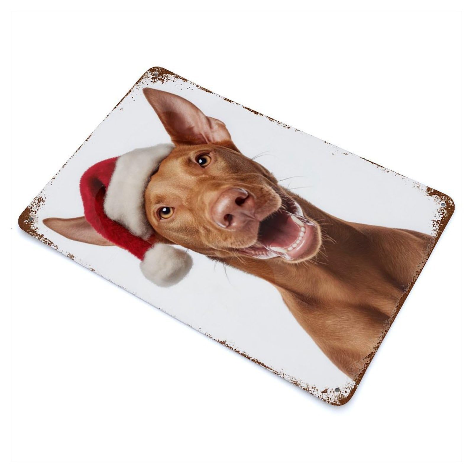 Pharaoh Hound Dog with Santa Hat Portrait Rusty Metal Tin Sign 11.8"x7.9", Industrial Home Decor for Garage, Pub Or Kitchen