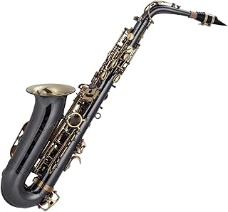 Saxofón alto en mi bemol instrumento negro de rendimiento profesional Instrumento saxofón