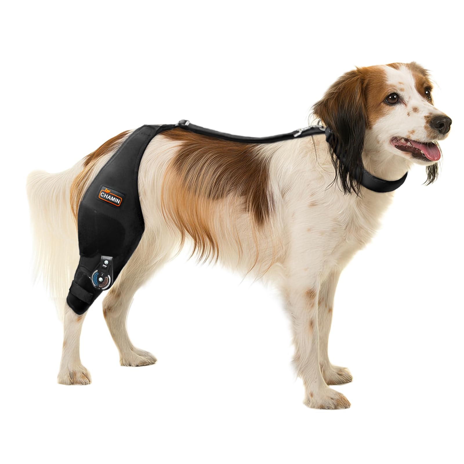 Photo 1 of Adjustable Dog Knee Brace for Torn ACL Hind Leg,Patent Pending,Right Leg,M