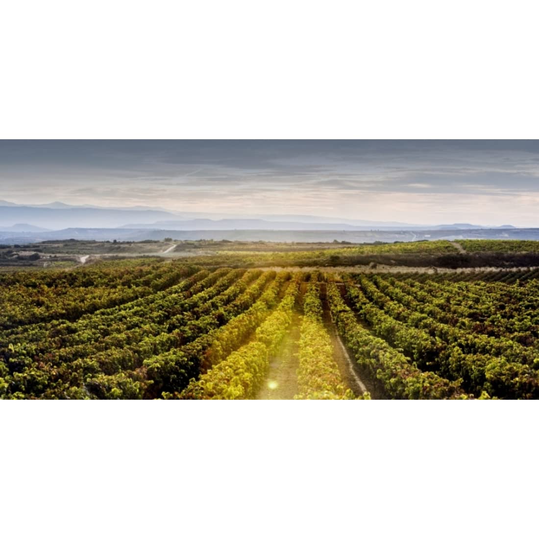Félix Azpilicueta Crianza D.O.Ca Rioja Vino Tinto, 75cl
