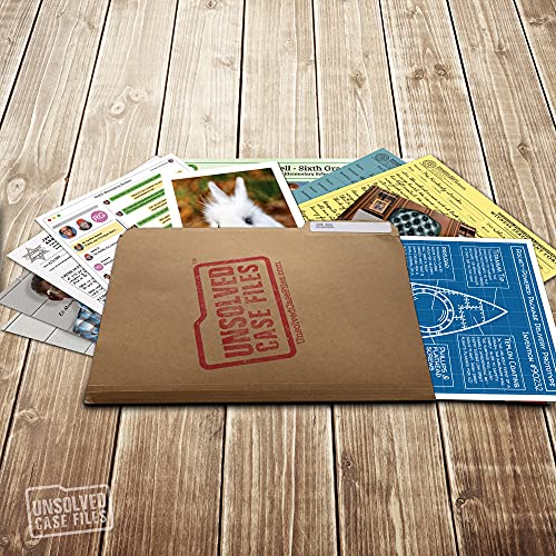 Unsolved Case Files | Honey The Bunny - A Family-Friendly Mystery Case To Solve #TOP4