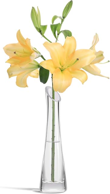 ComSaf 24CM Glass Flower Vase, Clear Decorative Lily Bud Vase Modern Tall Posy Bouquet Crystal Centerpiece for Home, Wedding, Christmas Decor