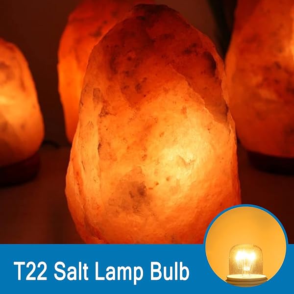 SCNNC Ampoule Four 300 Degres E14 Dimmable, AC220V-240V, Ampoule four E14 T22, 120LM Blanc Chaud 2300K, E14 Petit Culot à Vis Pygmy Lamps pour Micro-ondes, Four, Lampe à sel, 3 Unité - 5