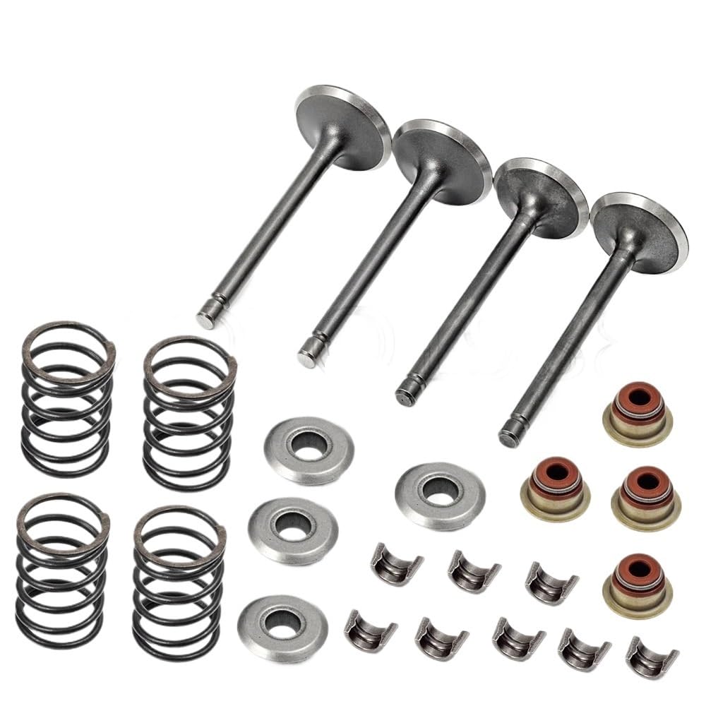 Kit di modifica cilindro moto Guarnizione da 0,25 mm Guarnizione di tenuta della molla di scarico di aspirazione Fermi della pinza della valvola adatti per Fuji Robin 299 EH29C