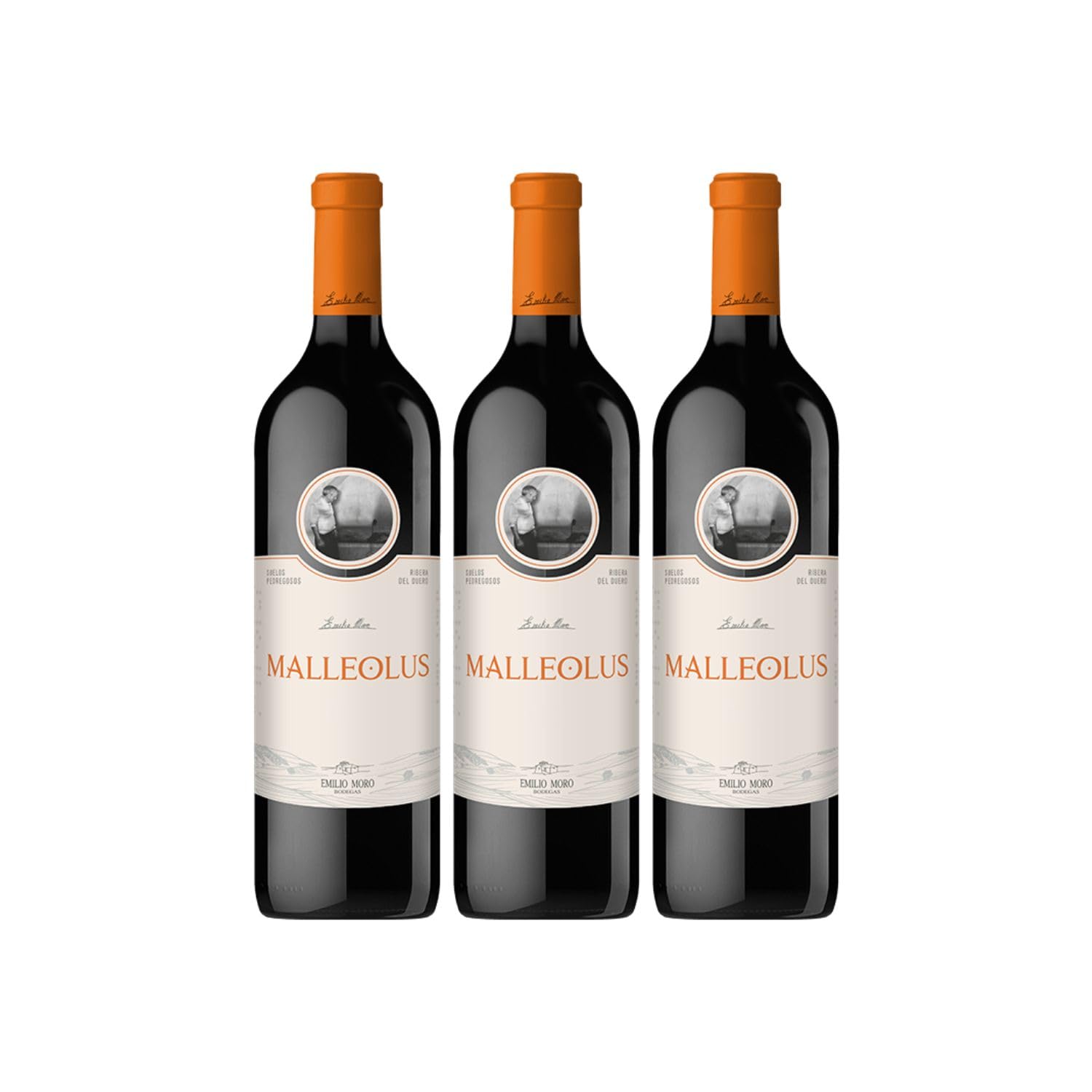 Emilio Moro - Malleolus, Vino Tinto Español, Tempranillo, D.O. Ribera del Duero - Pack de 3 Botellas x 750 ml